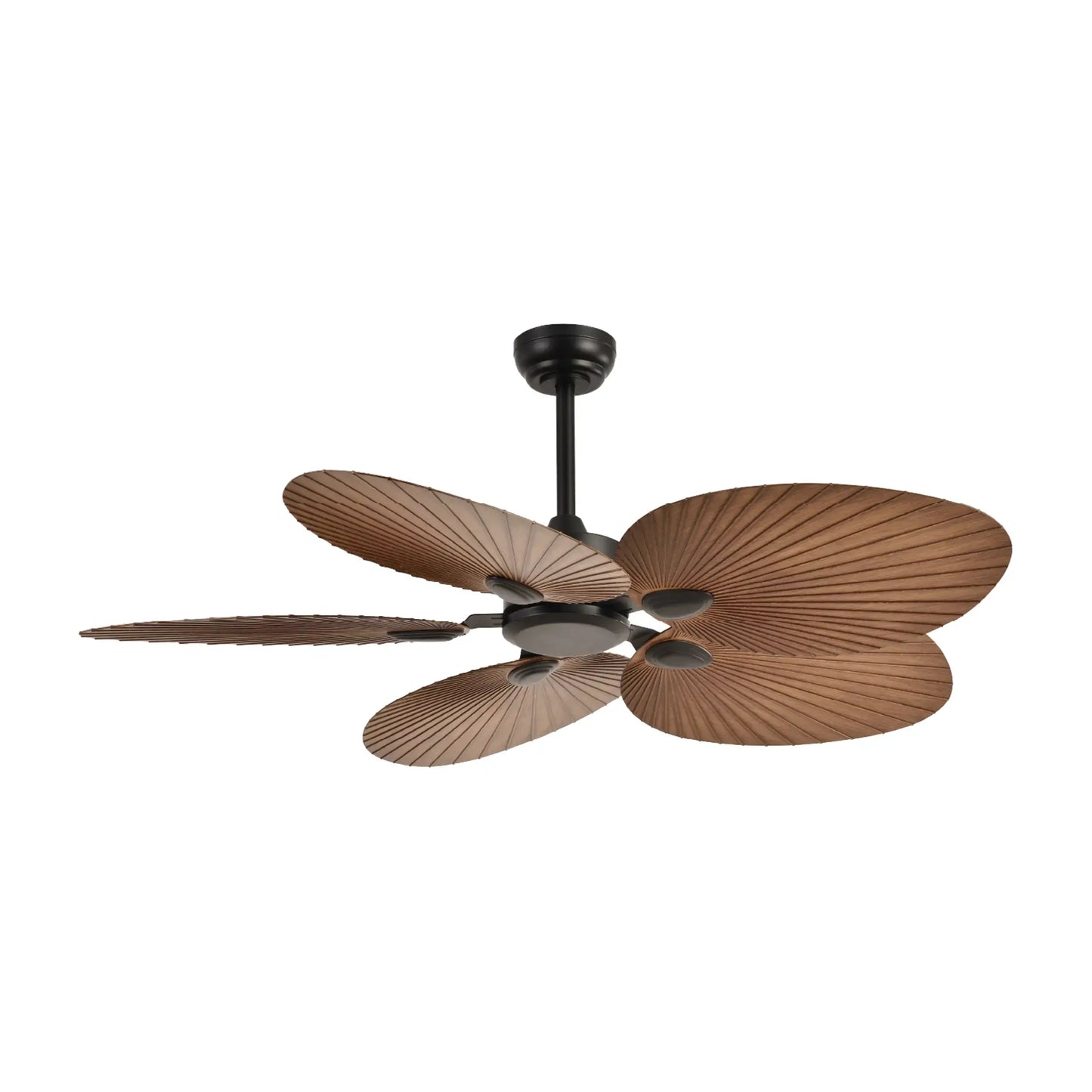 Ventilador Contemporáneo CLASSVE00018 Negro con Aspas Café Class Iluminación