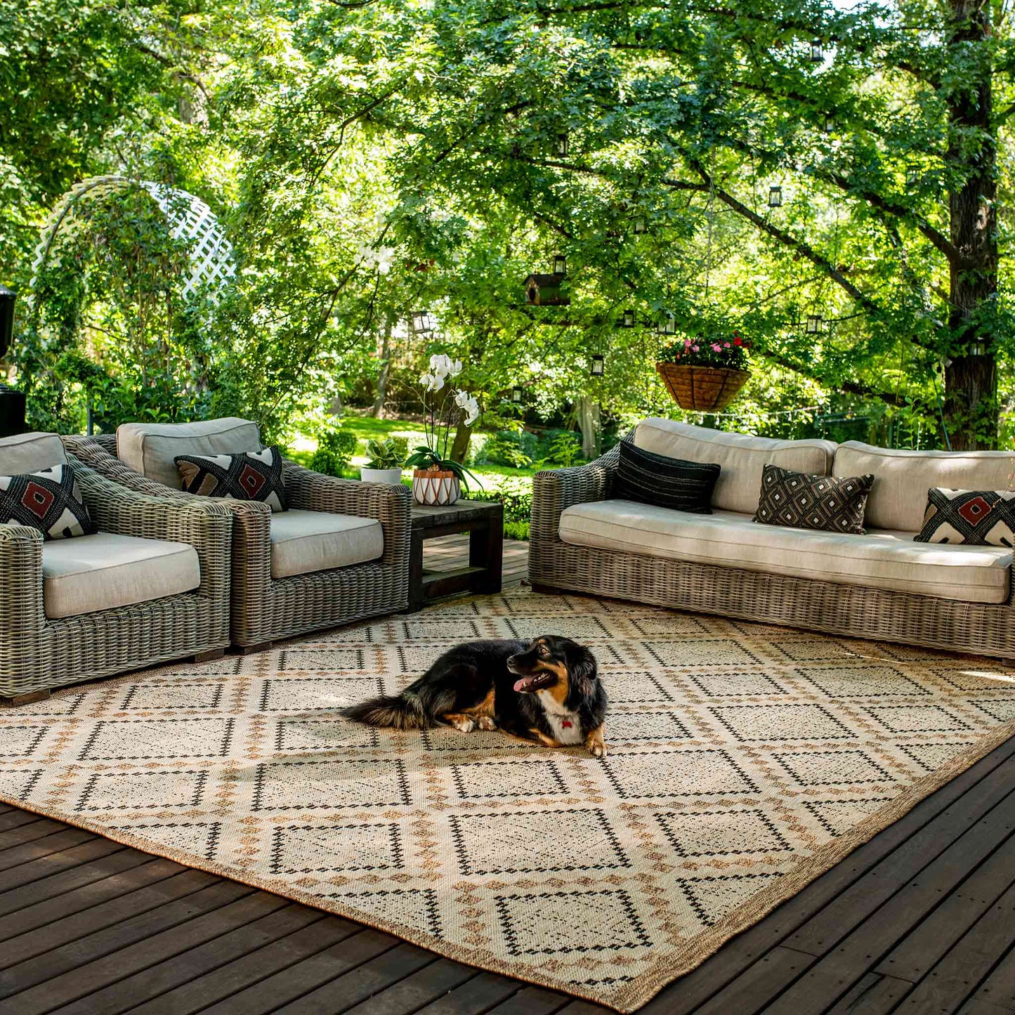 Tapete Decorativo Feizy NIZA 2005R – Geométrico Texturizado Café | Negro Indoor / Outdoor