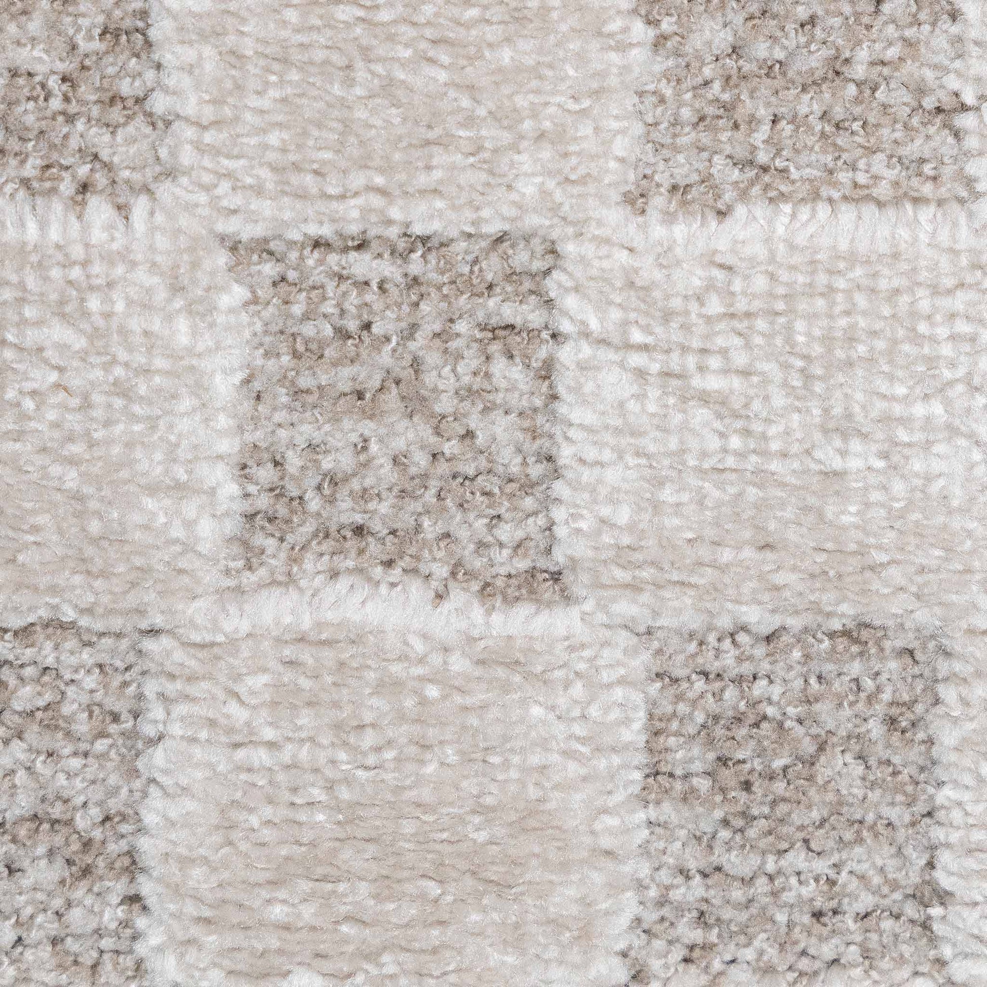 Tapete Decorativo ARAS R3012 - Beige - Poliéster | Polipropileno - Hecho a Máquina - Dorzav